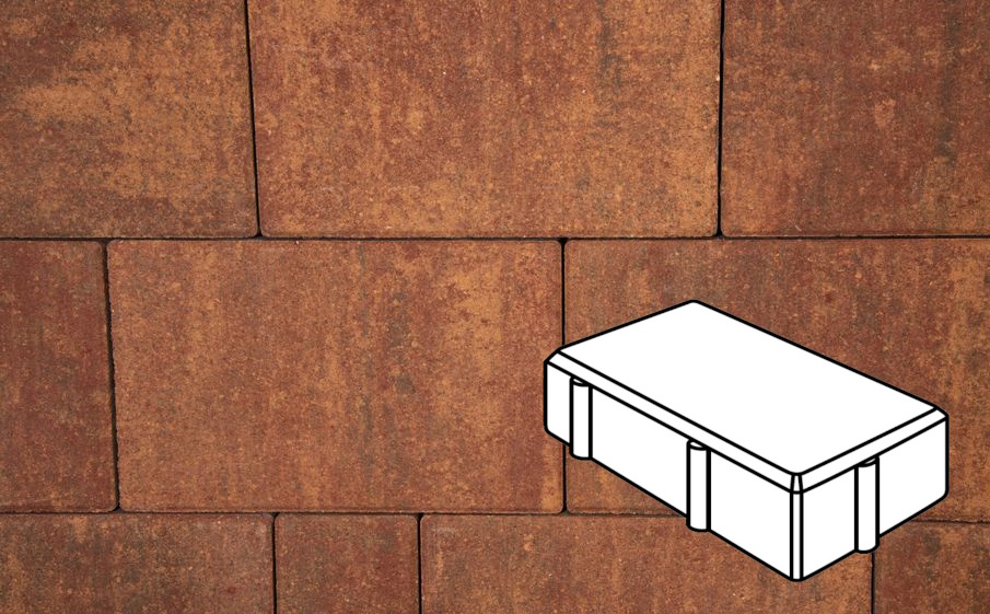 Плитка тротуарная Готика Natur, Брусчатка В.2.П.10/Г.2.П.10, Вернисаж, 200*100*100 мм