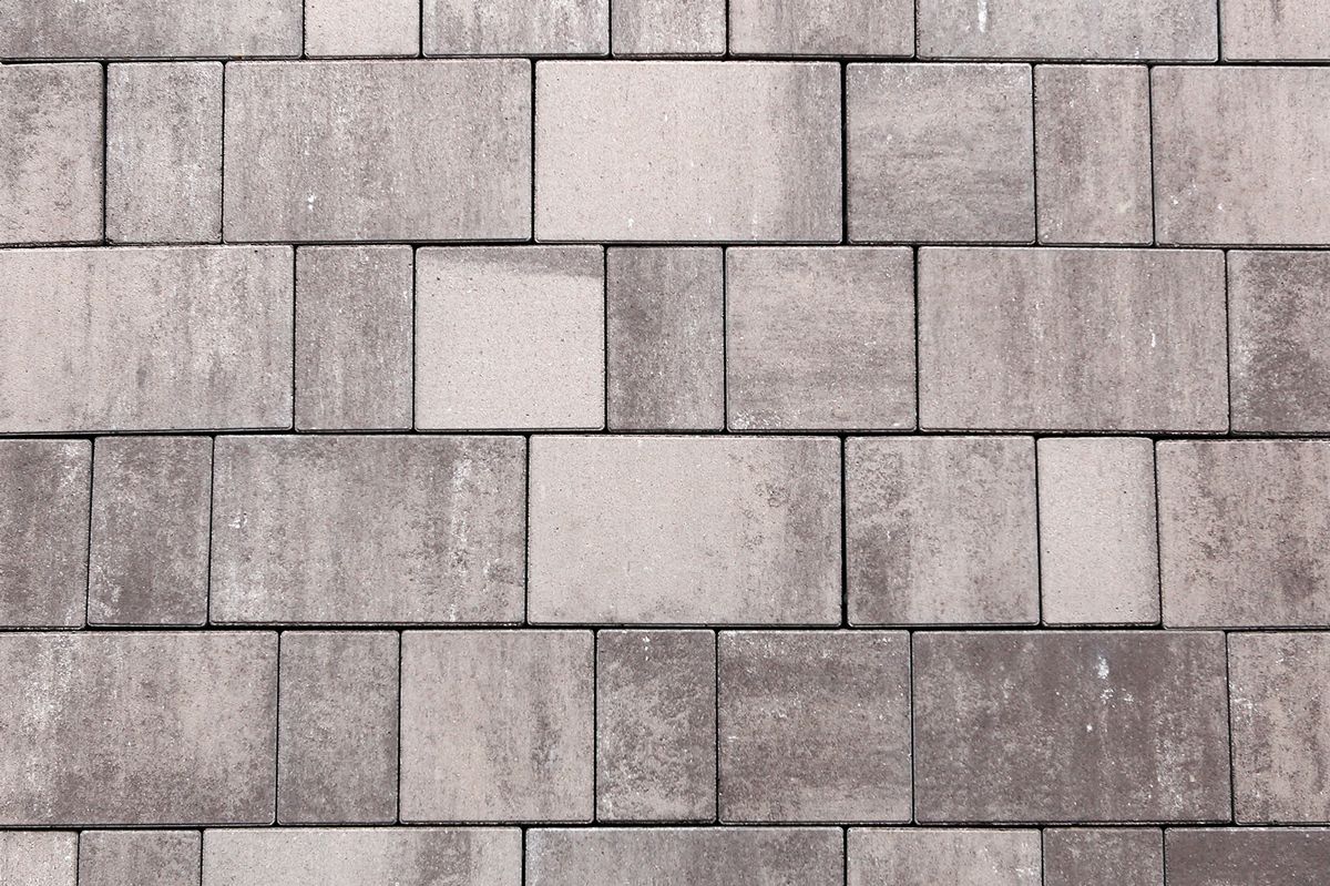 СТАРЫЙ ГОРОД Б.1.Фсм.6 Листопад гладкий Хаски